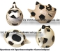 Preview: Spardose Spartier Design Fussball-Hai Keramik Gesamt