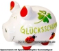 Preview: Sparschwein mittelgroßes Sparschwein 3D Design Glücksschwein mittel Keramik A
