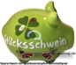 Preview: Sparschwein Kleinsparschwein 3D neues Design Glücksschwein Keramik CA