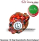 Preview: Spardose Spartier Pomme Pidou Katze Caramel rot mit Blumen Keramik E
