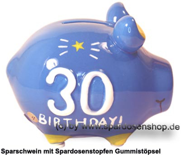Sparschwein Kleinsparschwein 3D Design 30 Birthday! Keramik C